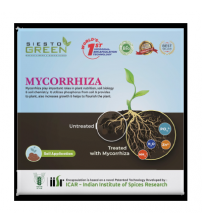 Mycorrhiza (Mycorrhizal Fungi) - Pack of 2 Capsules